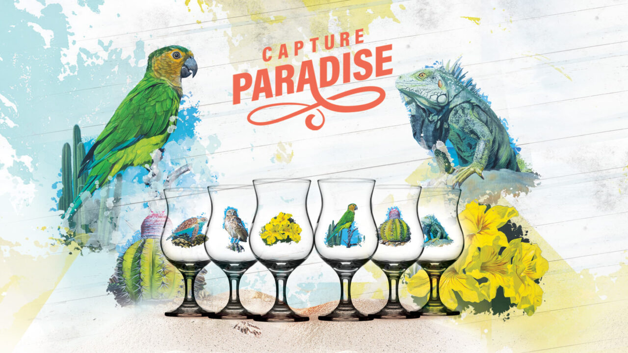 https://weststreetliquorcompany.com/wp-content/uploads/2024/08/Collect-Paradise-with-Ron-Tropical-1280x720.jpg